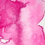Opera Rose
